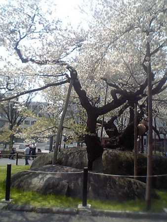 f:id:patikou:20140506142227j:image