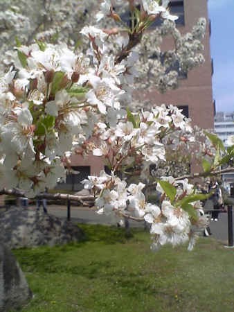 f:id:patikou:20140506142228j:image