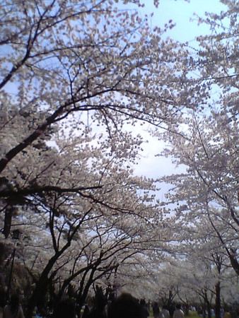 f:id:patikou:20140506142229j:image
