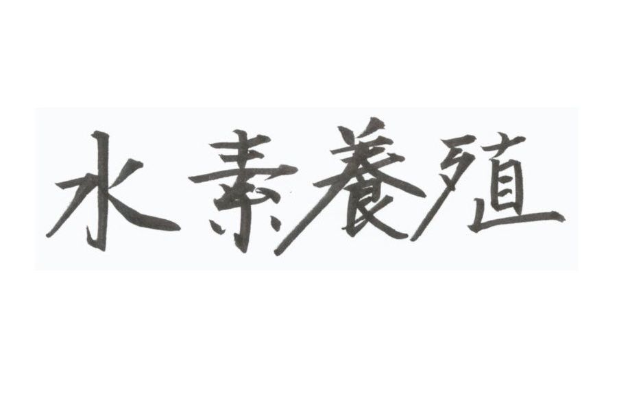 f:id:patintl:20170530161112j:plain