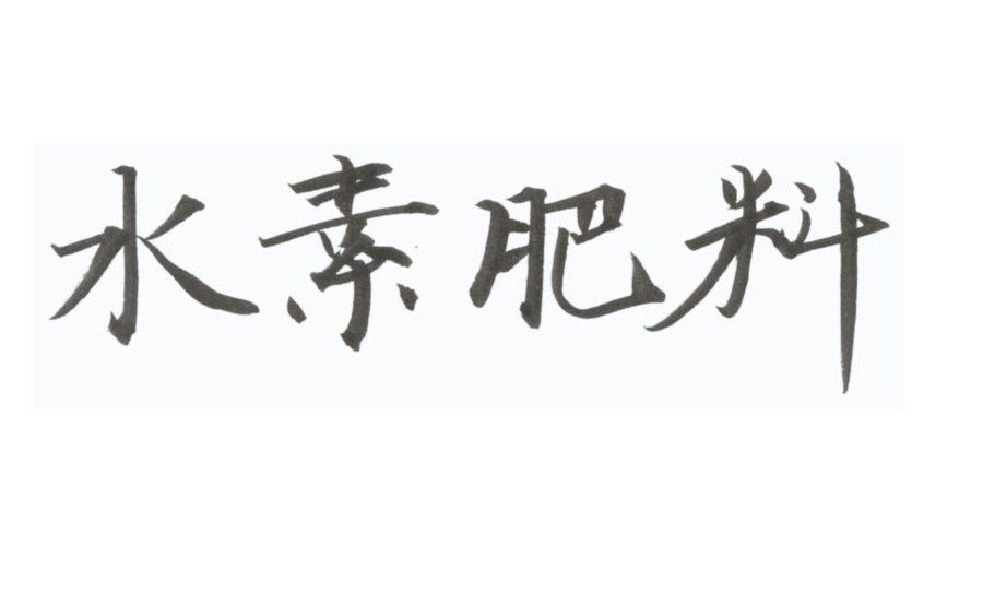 f:id:patintl:20170530161247j:plain