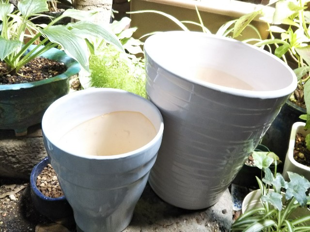 f:id:patio_unknown:20190809172725j:image f:id:patio_unknown:20190809172725j:image