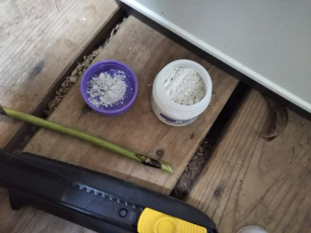f:id:patio_unknown:20190809173029j:image f:id:patio_unknown:20190809173029j:image