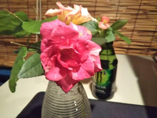 f:id:patio_unknown:20190904172331j:image