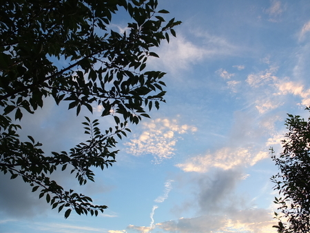 2020年8月10日　夕空