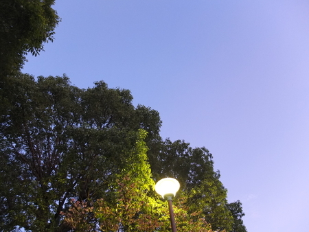 街灯　2020年8月28日