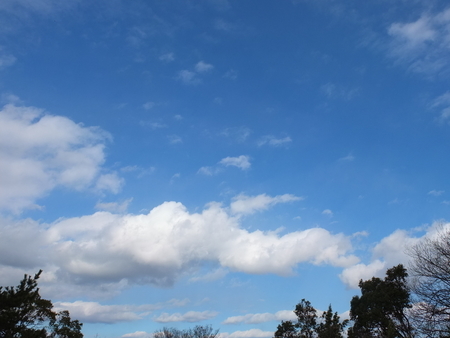 2021年2月9日の空