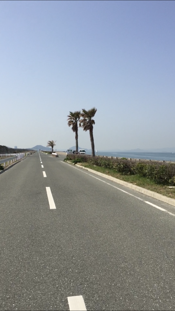 f:id:patsuesday:20190810105048p:plain f:id:patsuesday:20190810105048p:plain