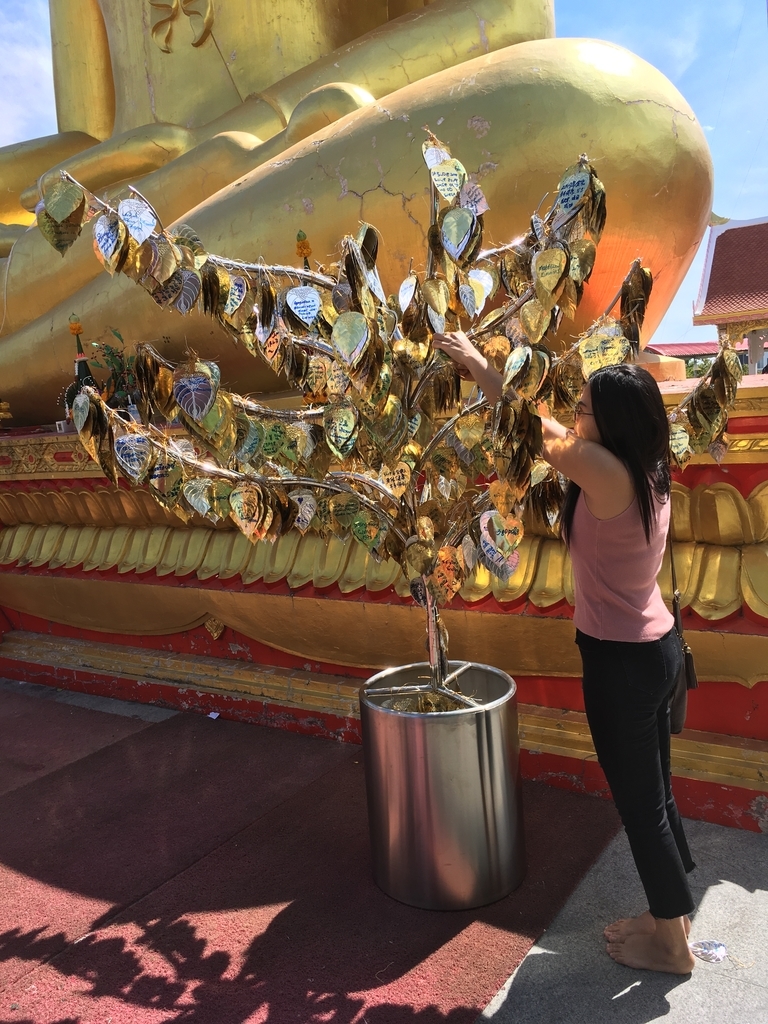 f:id:pattaya1986:20190120121914j:plain f:id:pattaya1986:20190120121914j:plain