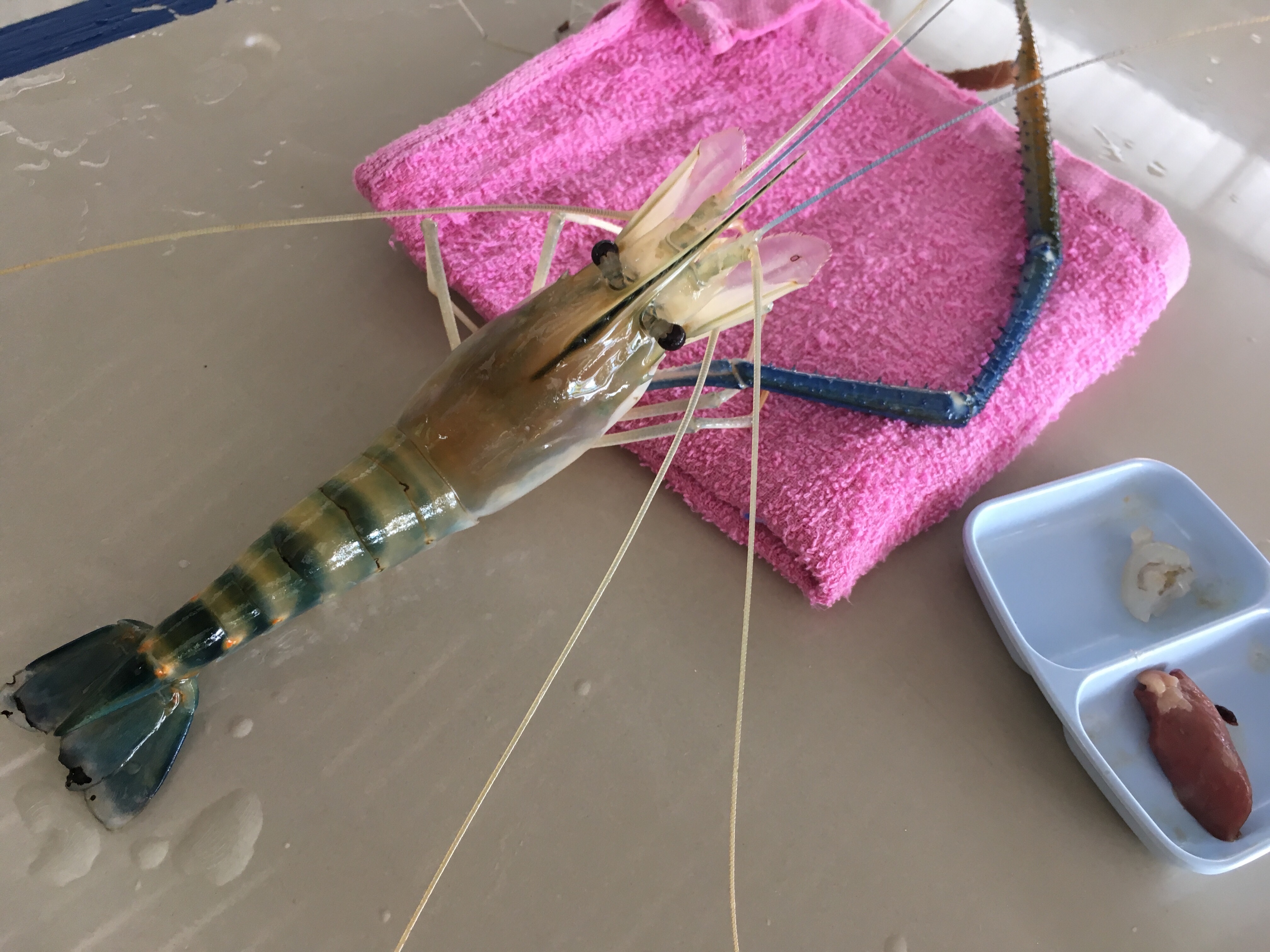 f:id:pattaya1986:20190923111421j:image f:id:pattaya1986:20190923111421j:image