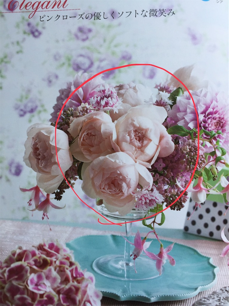 f:id:pattiko:20200319155458j:image