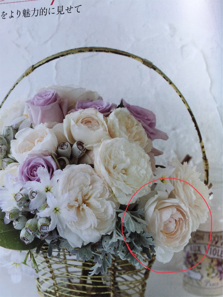 f:id:pattiko:20200319155506j:image
