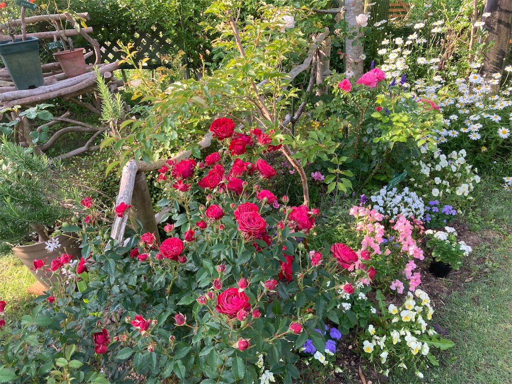 f:id:pattiko:20230518083836j:image