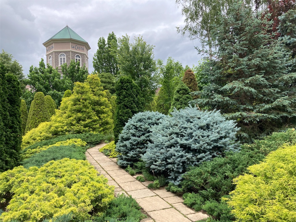 f:id:pattiko:20230616060311j:image f:id:pattiko:20230616060311j:image