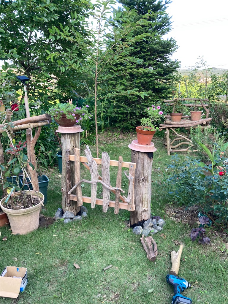 f:id:pattiko:20230620084824j:image f:id:pattiko:20230620084824j:image