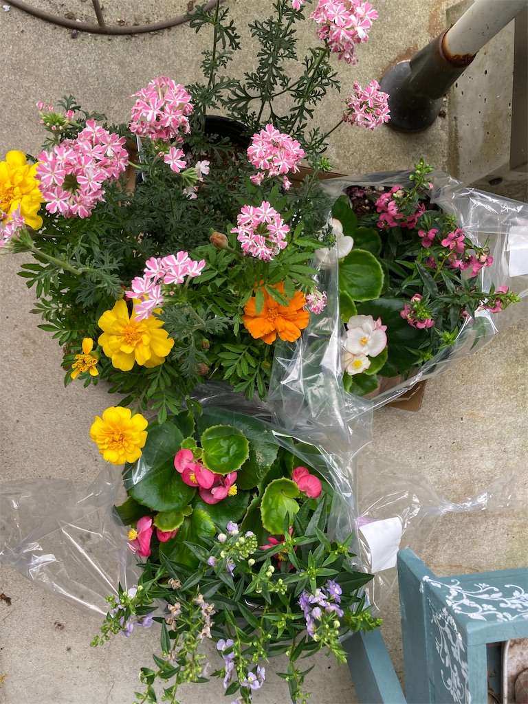 f:id:pattiko:20230620084844j:image f:id:pattiko:20230620084844j:image