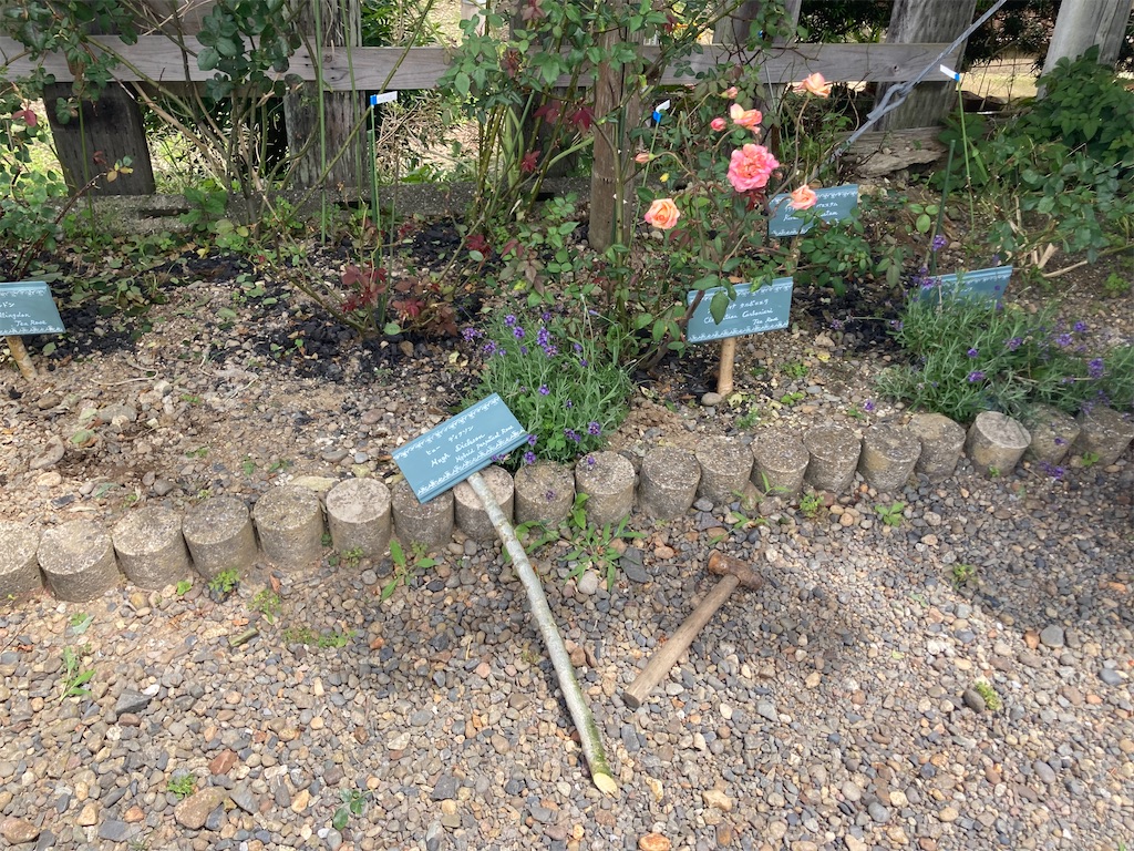 駅ガーデン バラプレート完成 - hitomi's favorite