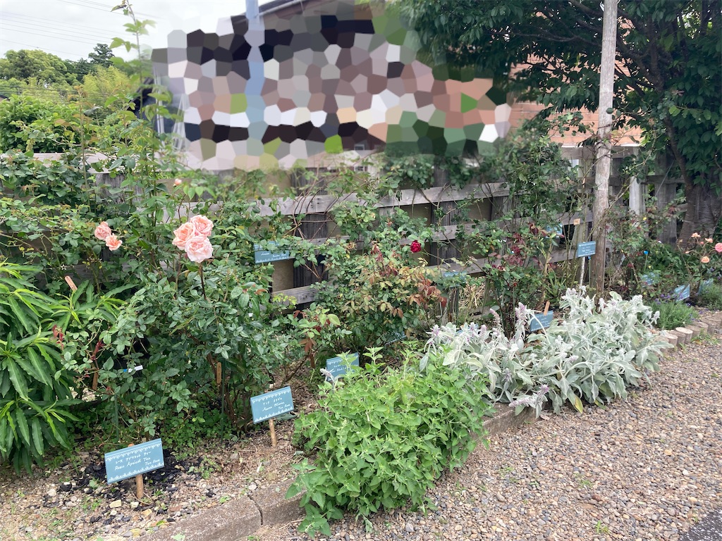 駅ガーデン バラプレート完成 - hitomi's favorite