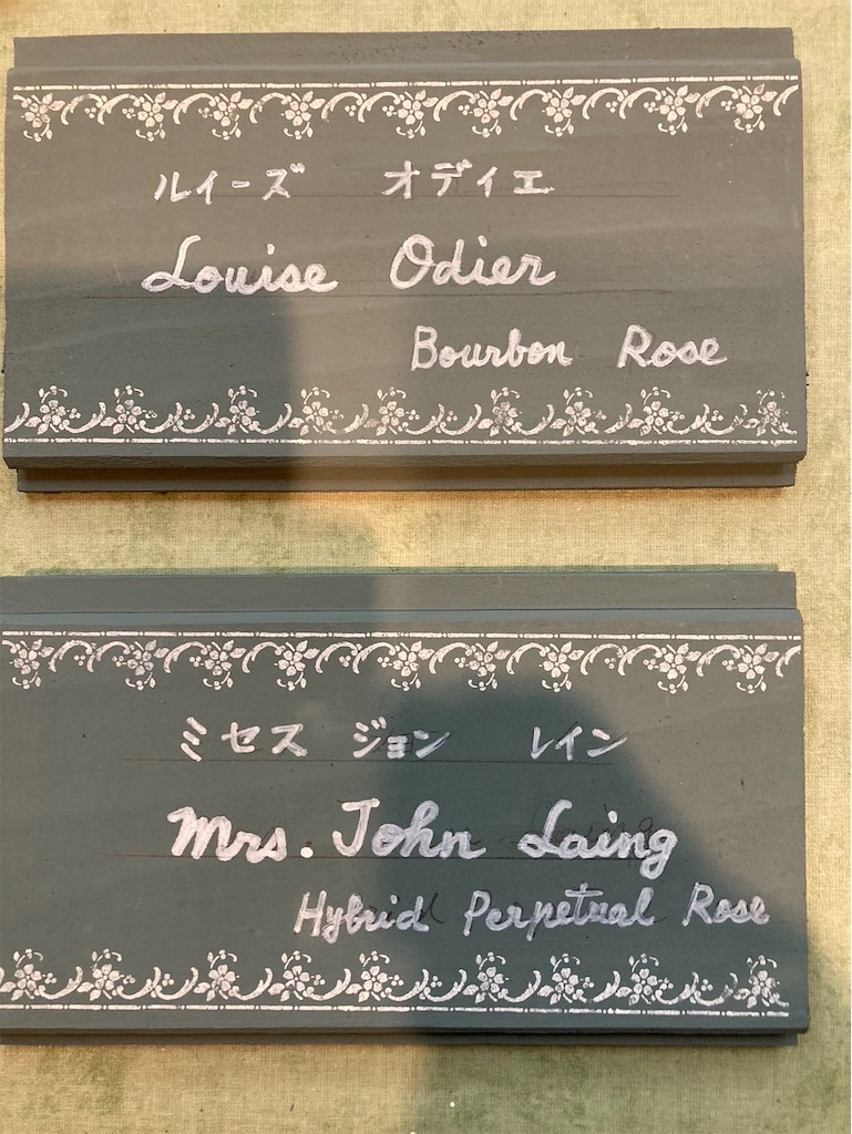 駅ガーデン バラプレート完成 - hitomi's favorite