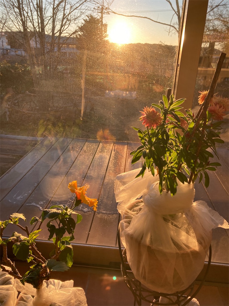 f:id:pattiko:20250126092914j:image