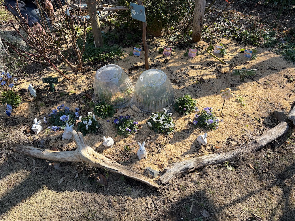 f:id:pattiko:20260114195059j:image