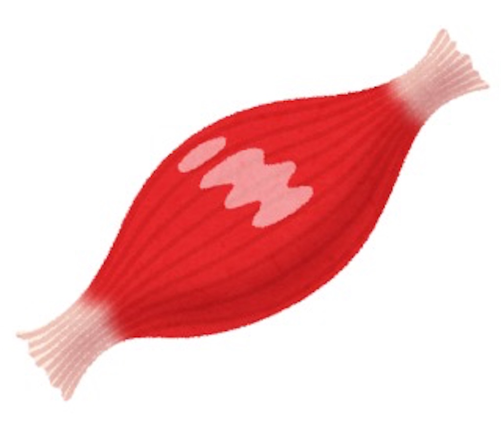 f:id:paty0417:20190428115651j:image