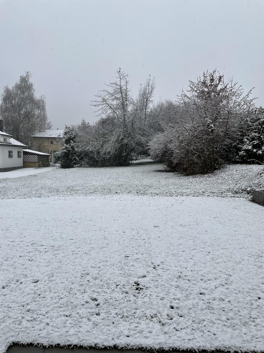 スイスの大統領 日々たんたん スイス編