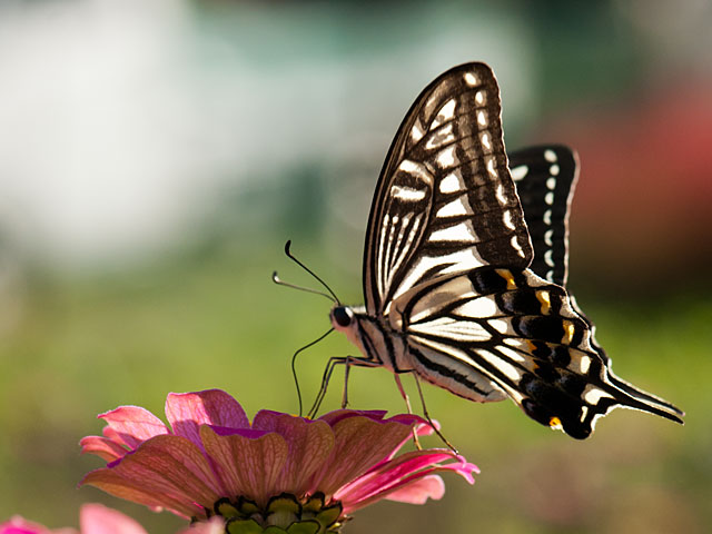 f:id:paw2061:20111019010606j:image f:id:paw2061:20111019010606j:image
