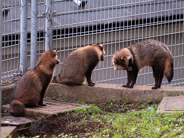 f:id:paw2061:20111023221001j:image f:id:paw2061:20111023221001j:image