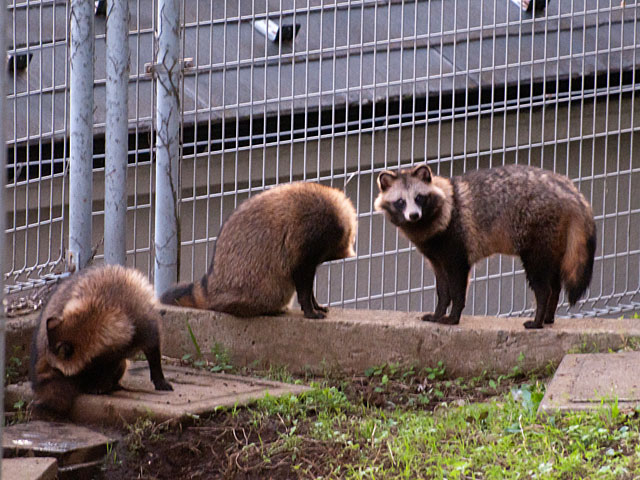 f:id:paw2061:20111023221002j:image f:id:paw2061:20111023221002j:image