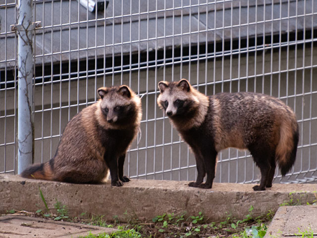 f:id:paw2061:20111023221003j:image f:id:paw2061:20111023221003j:image