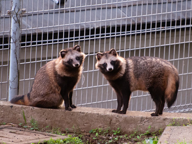 f:id:paw2061:20111023221004j:image f:id:paw2061:20111023221004j:image