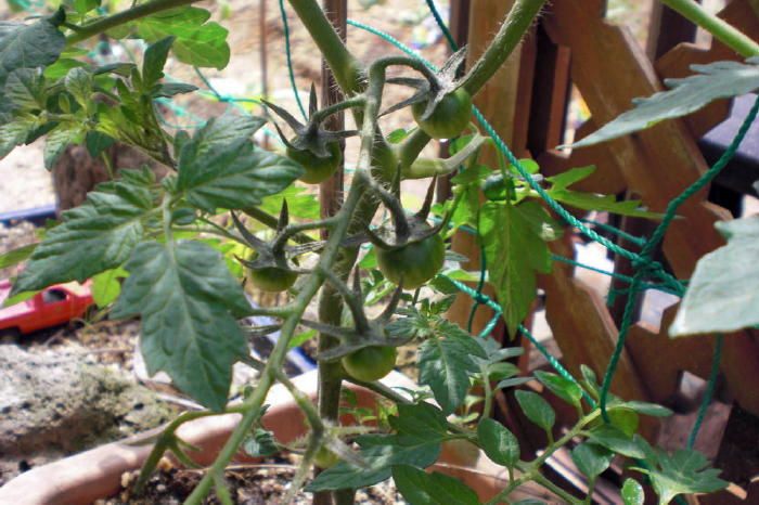 f:id:pawadekun:20120607050117j:image