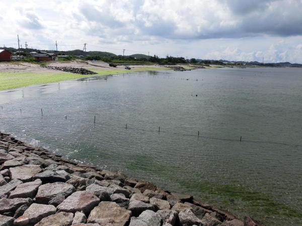 f:id:pawadekun:20120901093324j:image