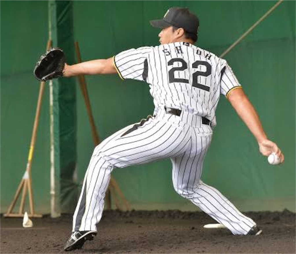 f:id:pawapurotan:20241012092034j:image