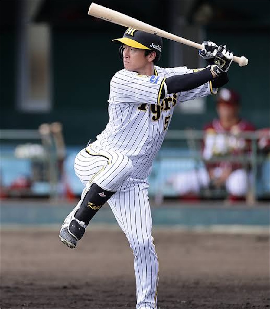 f:id:pawapurotan:20241103123537j:image