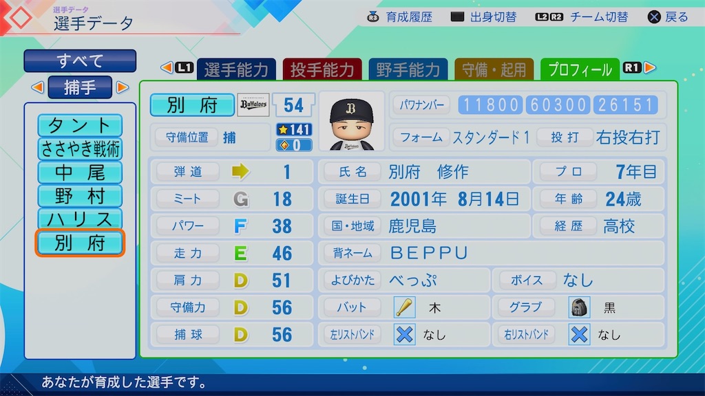 f:id:pawapurotan:20260704072311j:image