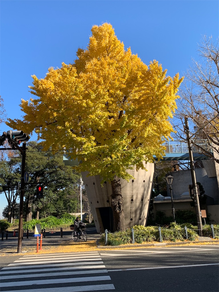 子連れお出かけ 横浜へ行ってきた 山下公園 中華街編 パウの米国株投資 子育てブログ