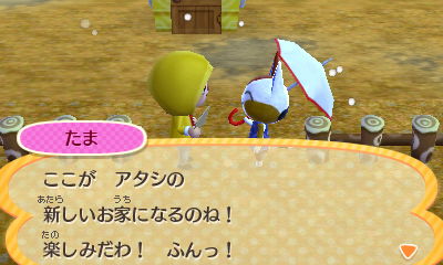 f:id:pawnow:20170124140827j:plain f:id:pawnow:20170124140827j:plain