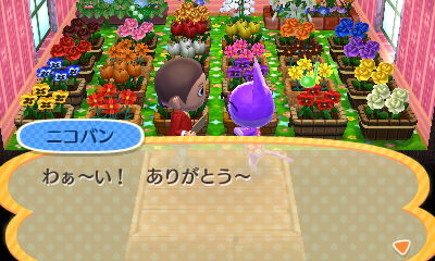 f:id:pawnow:20170802101549j:plain f:id:pawnow:20170802101549j:plain