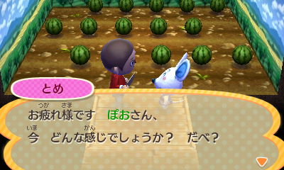 f:id:pawnow:20170803102547j:plain f:id:pawnow:20170803102547j:plain