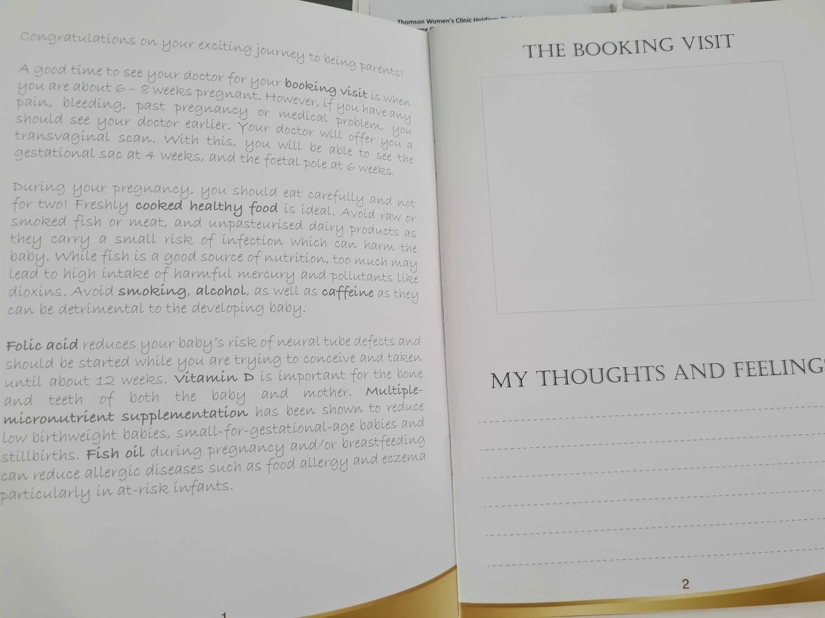 f:id:pawpawsock:20210402193024j:plain