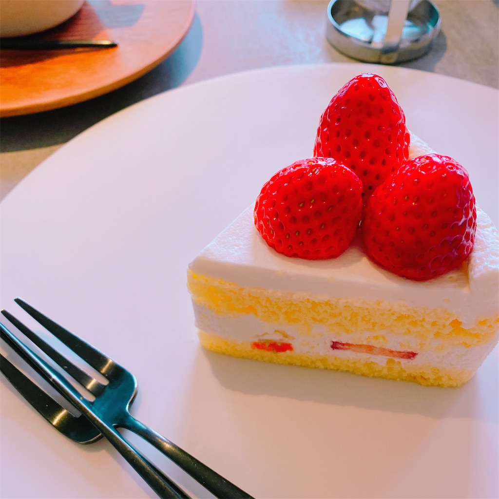 f:id:payachang:20210212154955j:image f:id:payachang:20210212154955j:image