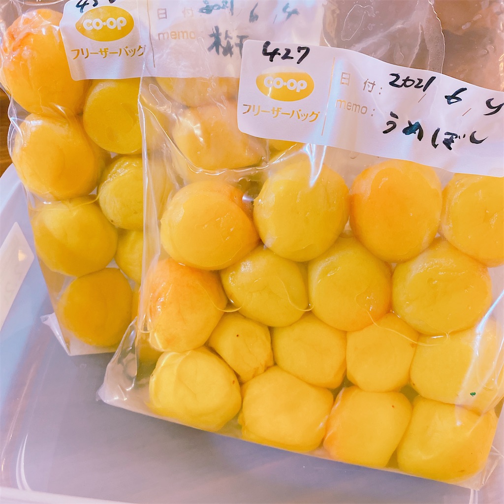 f:id:payachang:20210609120331j:image f:id:payachang:20210609120331j:image