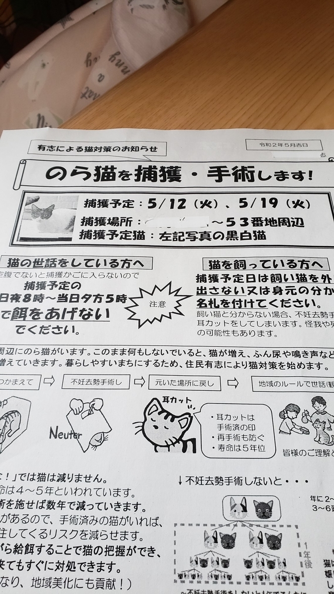 f:id:payomaru0223:20200517104038j:plain