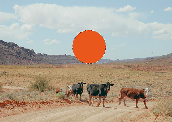 f:id:pbhfq:20211027082150j:plain