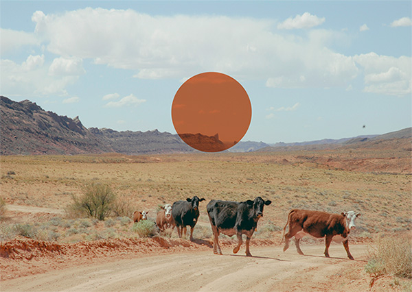 f:id:pbhfq:20211027082207j:plain