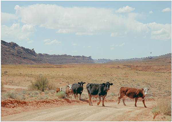 f:id:pbhfq:20211027084906j:plain