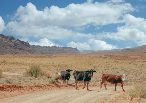 f:id:pbhfq:20211027085222j:plain