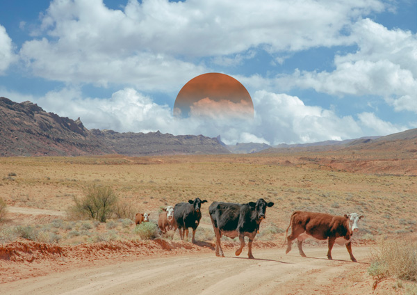 f:id:pbhfq:20211027090524j:plain